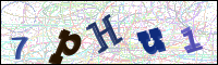 Image Verification