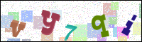 Image Verification