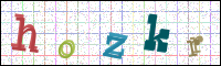 Image Verification