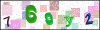Image Verification