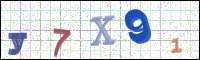 Image Verification