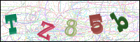 Image Verification