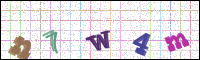 Image Verification