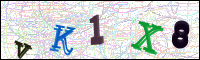 Image Verification