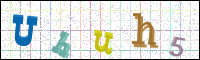 Image Verification