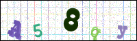 Image Verification