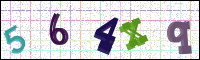 Image Verification