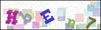 Image Verification