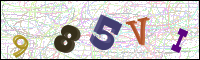 Image Verification