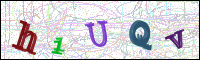 Image Verification