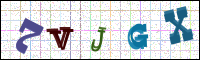 Image Verification