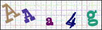 Image Verification