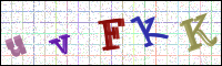 Image Verification