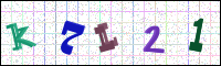 Image Verification