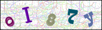 Image Verification
