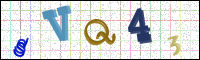 Image Verification