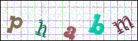 Image Verification