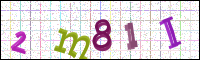 Image Verification