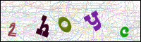 Image Verification