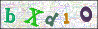 Image Verification