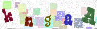 Image Verification