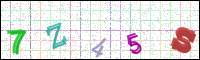 Image Verification
