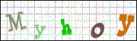 Image Verification