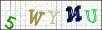 Image Verification