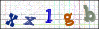 Image Verification