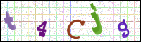 Image Verification