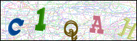 Image Verification