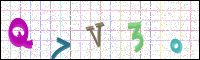 Image Verification