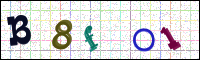 Image Verification
