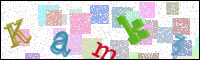 Image Verification