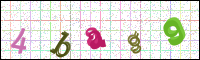 Image Verification