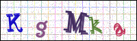 Image Verification