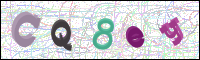 Image Verification