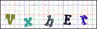 Image Verification