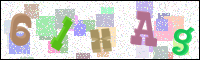 Image Verification