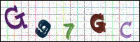 Image Verification