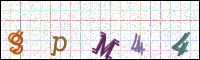 Image Verification