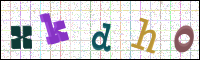 Image Verification