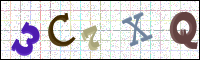Image Verification
