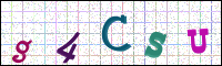 Image Verification