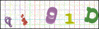 Image Verification