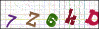 Image Verification
