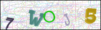 Image Verification
