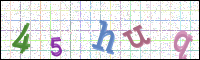 Image Verification