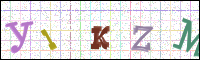 Image Verification