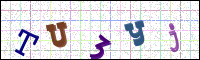 Image Verification
